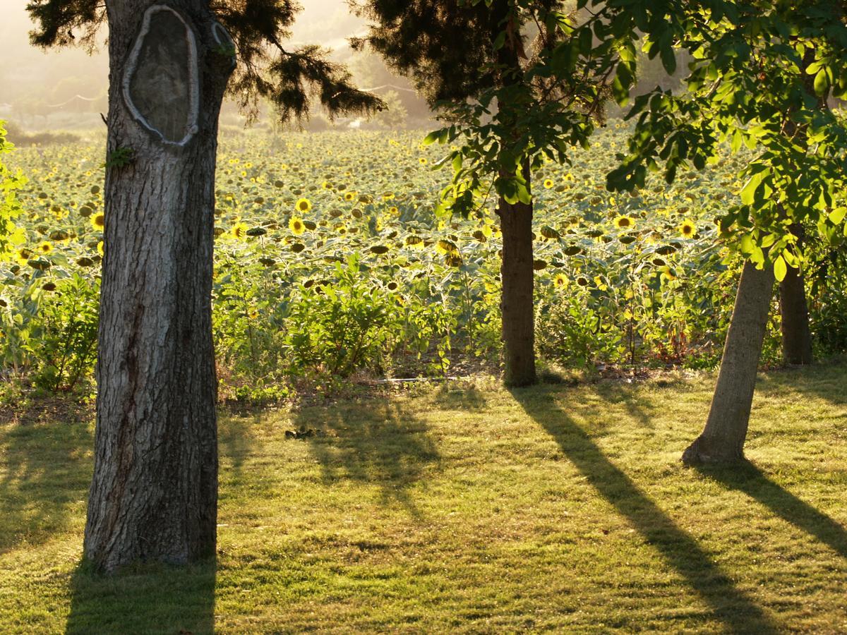 Domaine De Luzenac Panzió Val-du-Faby Kültér fotó