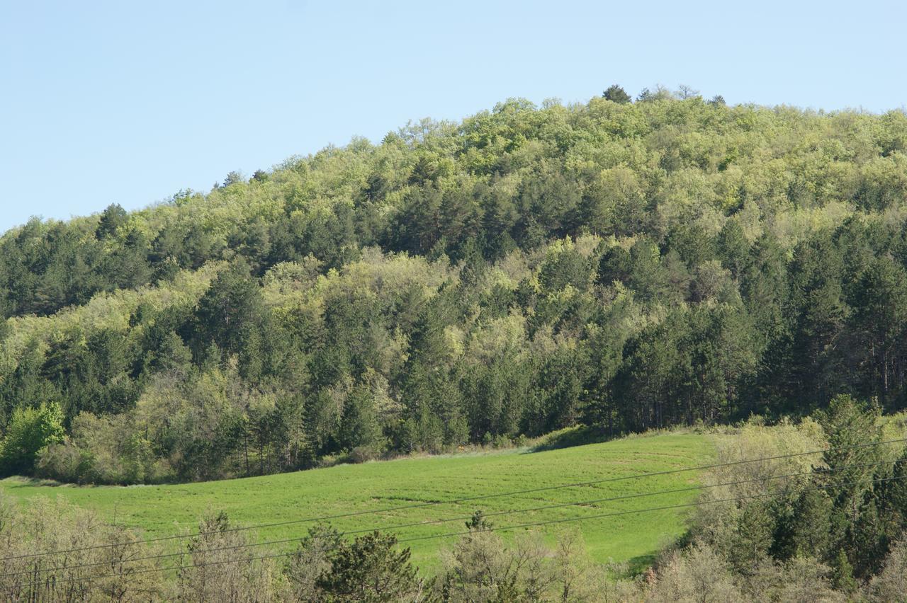 Domaine De Luzenac Panzió Val-du-Faby Kültér fotó