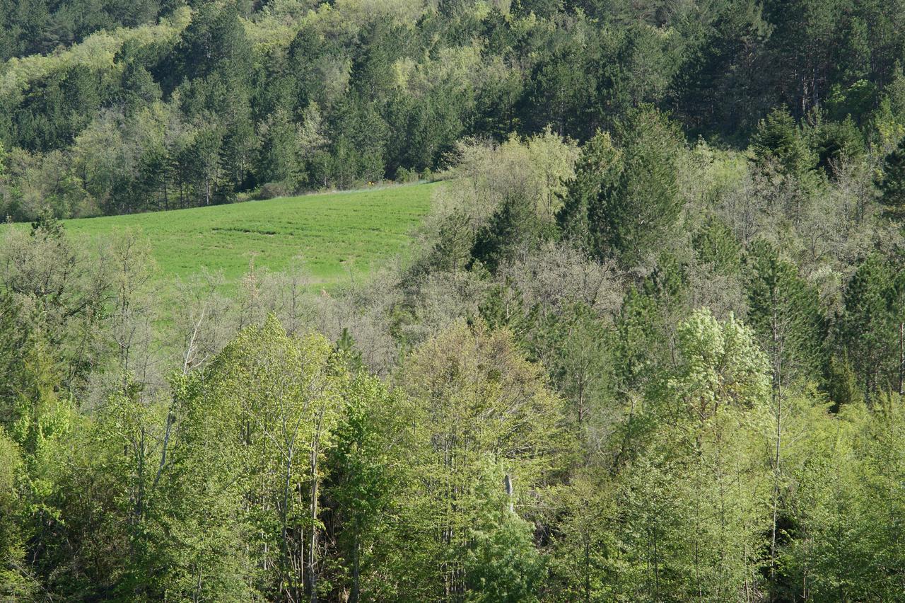 Domaine De Luzenac Panzió Val-du-Faby Kültér fotó